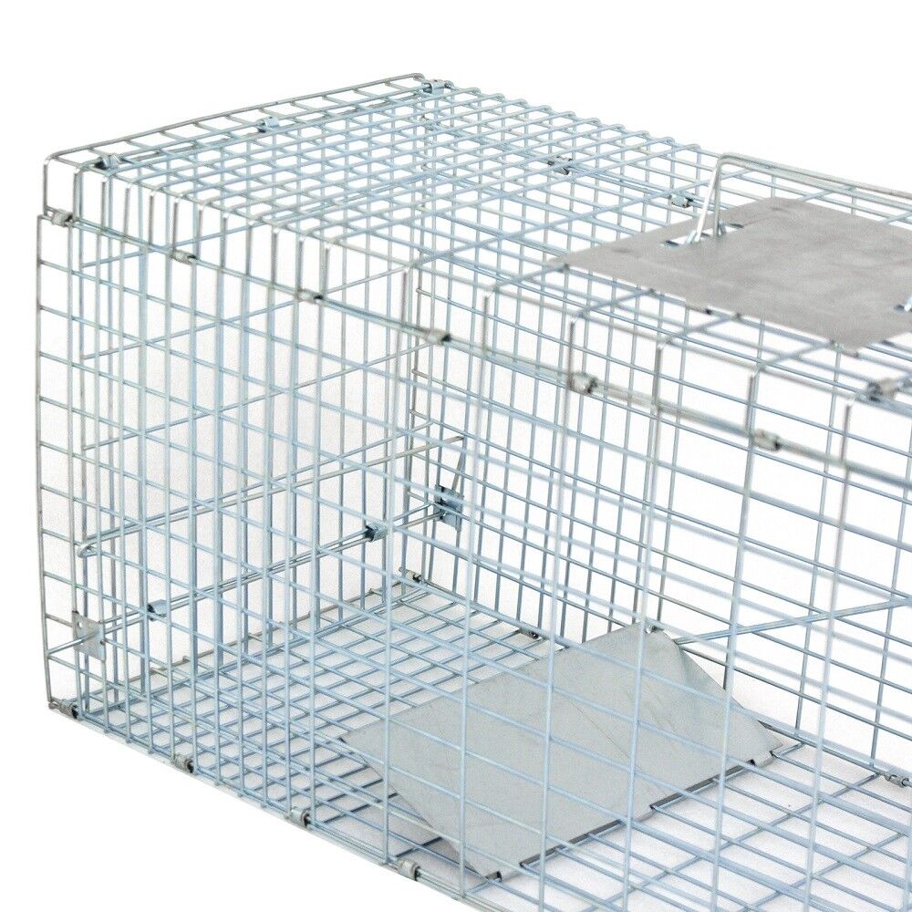 32" x 12.5"Humane Animal Trap Steel Cage Live Rodent Control Skunk Rabbit Rodent