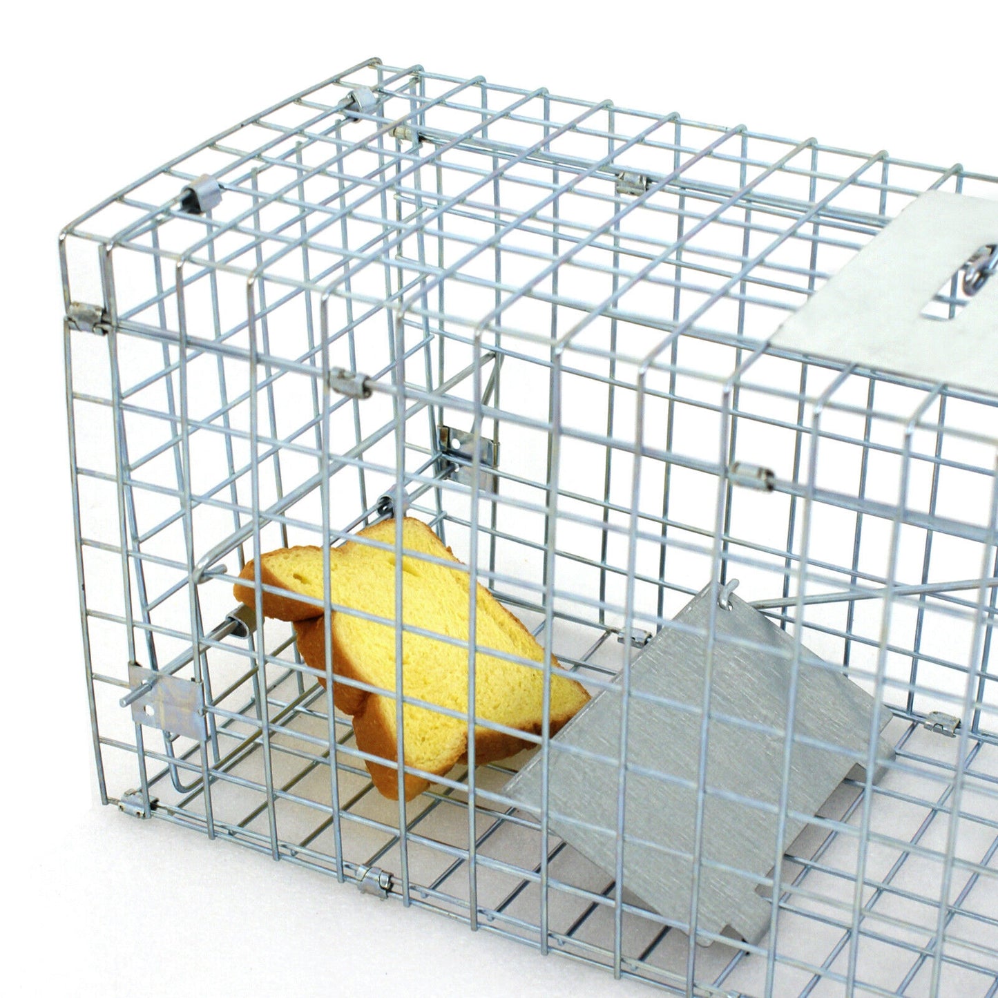 Live Animal Cage Mouse Trap Rat Hamster Catch Control Bait Hunting Survival New
