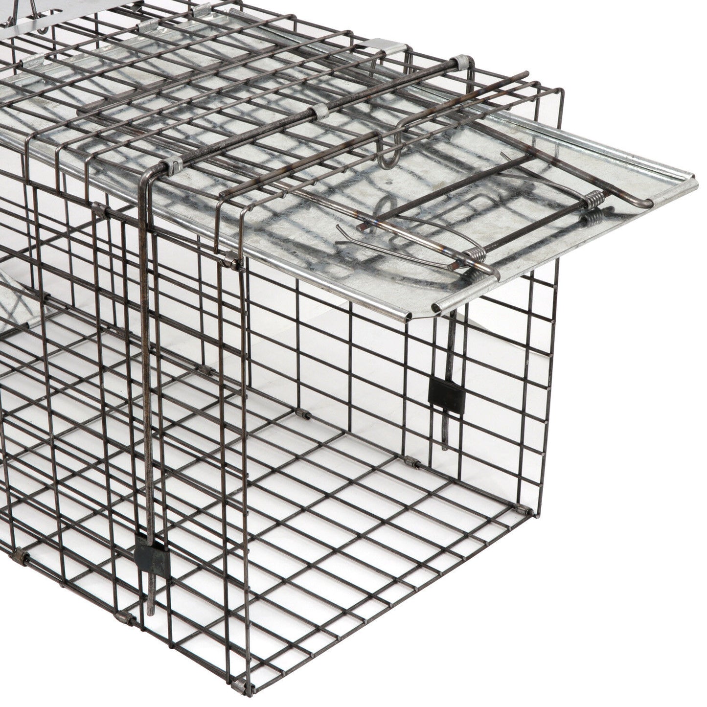 2X 32" Humane Animal Trap Steel Cage for Live Rodent Control Rat Squirrel Raccon