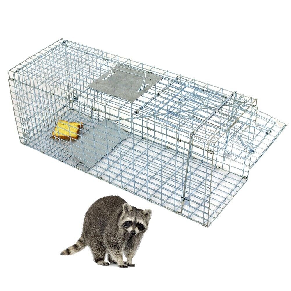 Humane Animal Live Trap Raccoon 32"x12.5"x12" Large Steel Cage Trapping Supplies