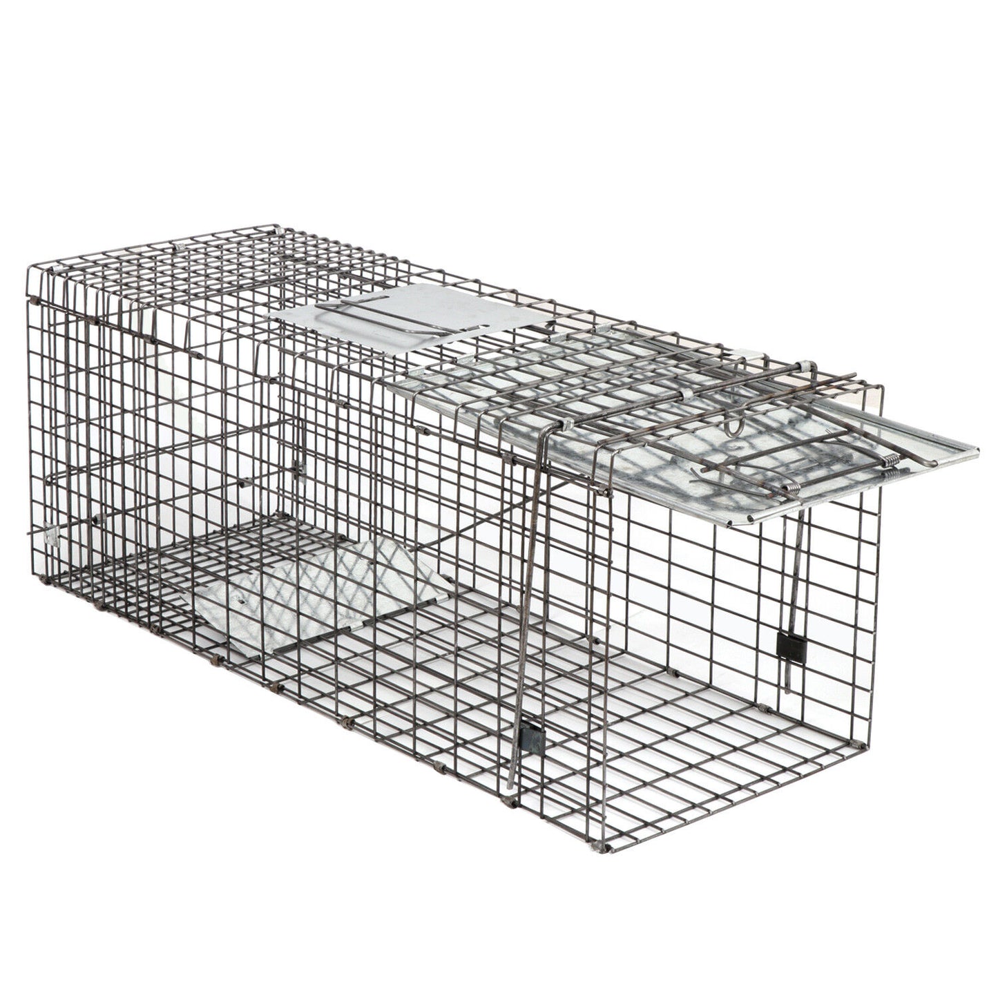 32" Humane Animal Trap Steel Cage for Live Rodent Control Rat Squirrel Raccon