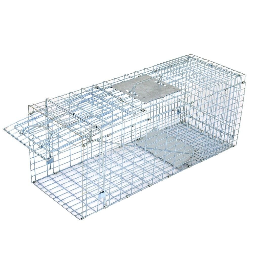 Humane Animal Live Trap Raccoon 32"x12.5"x12" Large Steel Cage Trapping Supplies