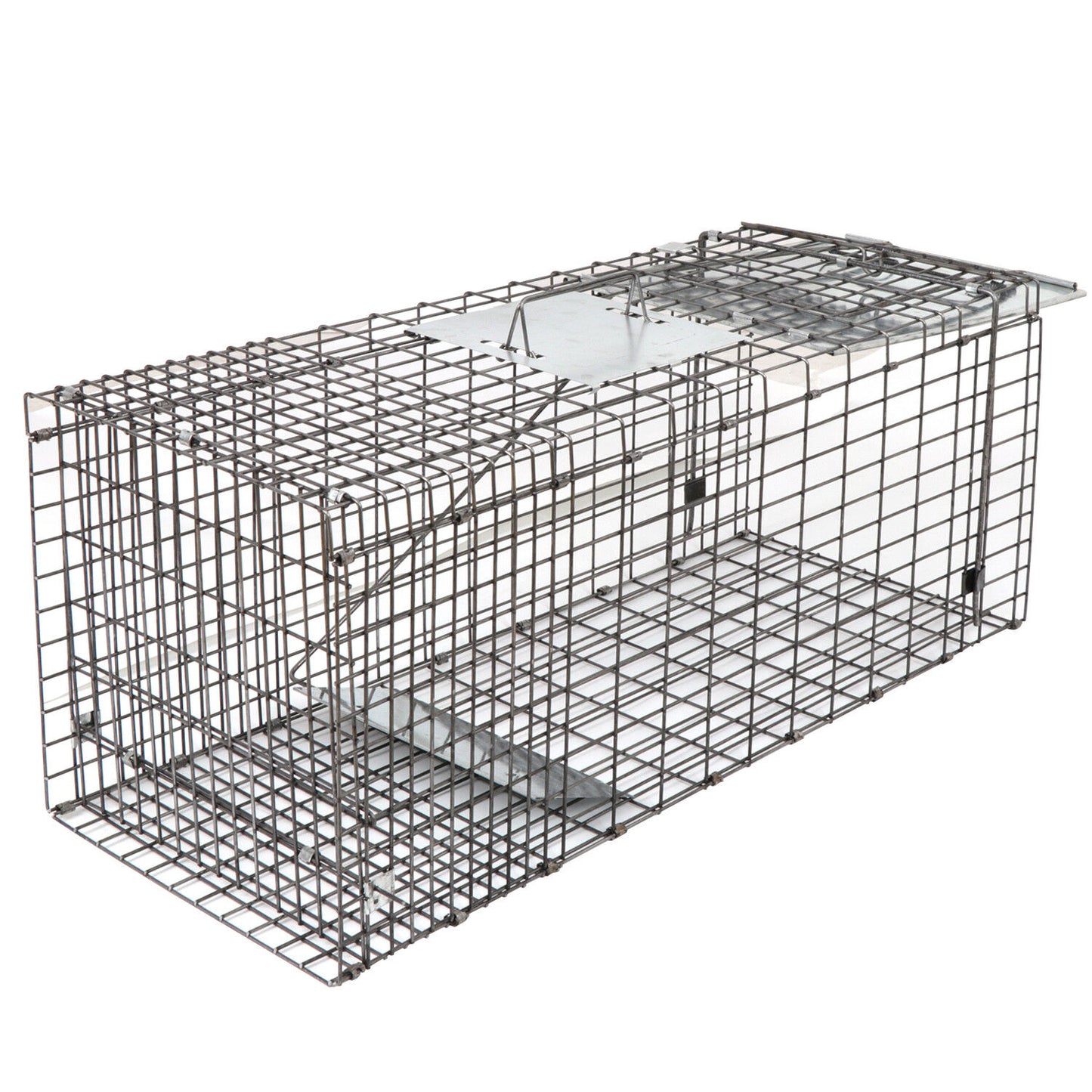 32" Humane Animal Trap Steel Cage for Live Rodent Control Rat Squirrel Raccon