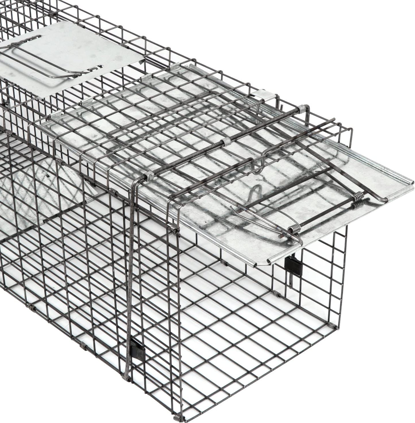 Live Animal Cage Trap 32" X 12.5" X 12" w/Iron Door Steel Cage Catch Release Humane Rodent Cage for Rabbits, Stray Cat, Squirrel, Raccoon, Mole, Gopher, Chicken, Opossum, Skunk & Chipmunks